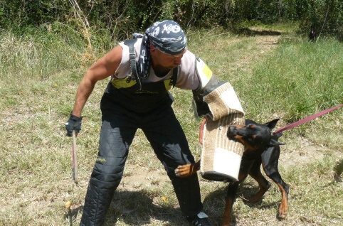 Seminar on Virgin Islands 2008